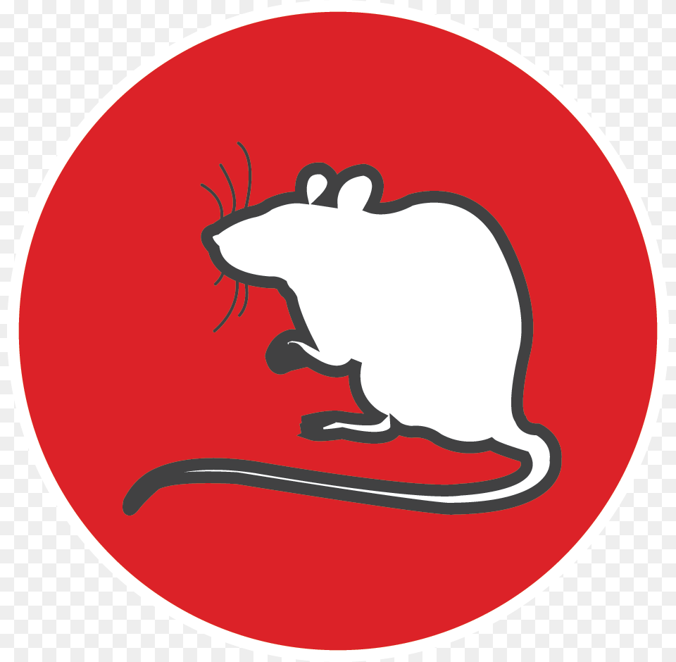 Adopt An Ex Lab Animal Rat, Mammal, Rodent Free Png