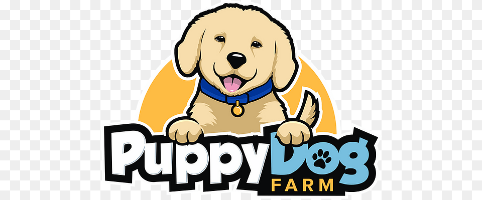 Adopt Best Golden Retriever Puppy In Californiausa Dog Supply, Animal, Pet, Mammal, Canine Free Png