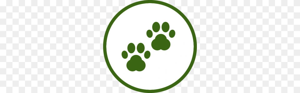 Adopt The Border Collie Spot, Footprint, Disk Free Png