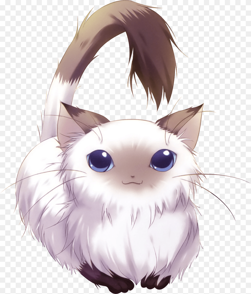 Adorable Anime Cats Cat Renders, Animal, Mammal, Pet, Baby Png Image