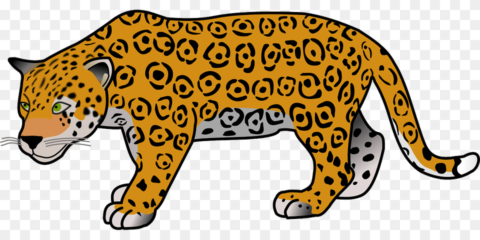 Adorable Clipart Jaguar, Animal, Cheetah, Mammal, Wildlife Free Png