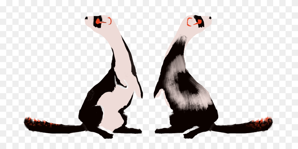 Adorable Elegant Ferrets Waiting For A New Home Lioden, Stencil, Person, Adult, Female Free Png