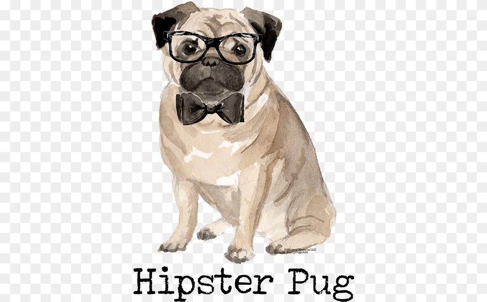 Adorable Hipster Black And Bowtie Soft Short Pug, Animal, Bear, Mammal, Wildlife Free Png