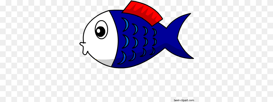 Adorable Red And Blue Fish Clipart Portable Network Graphics, Animal, Sea Life, Shark Free Png Download