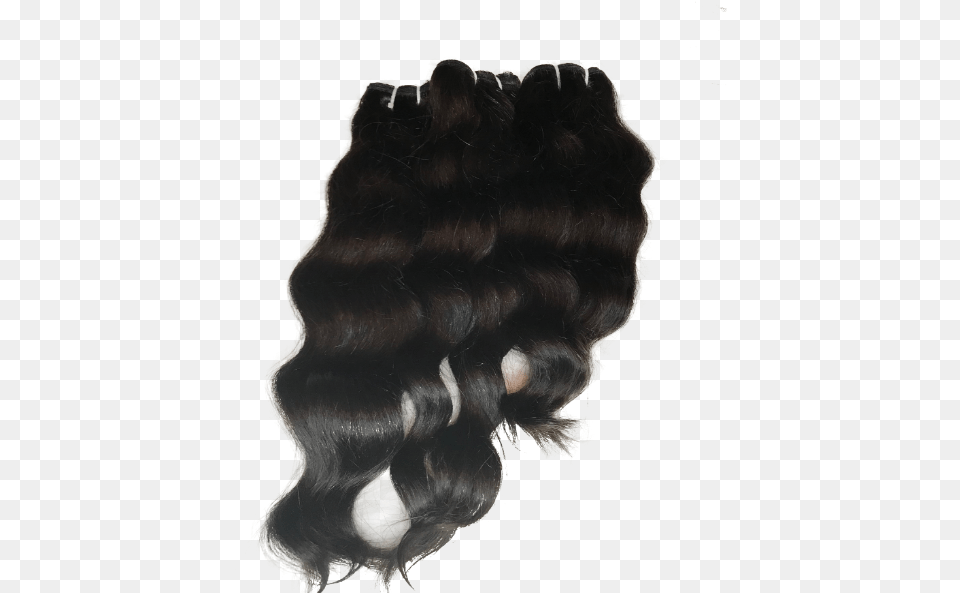 Adored Virgin Hair Company Llc, Person, Animal, Canine, Dog Free Png