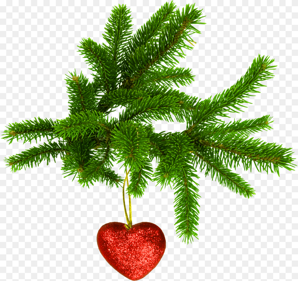 Adornos De Corazon Para Navidad, Plant, Tree, Conifer, Leaf Png