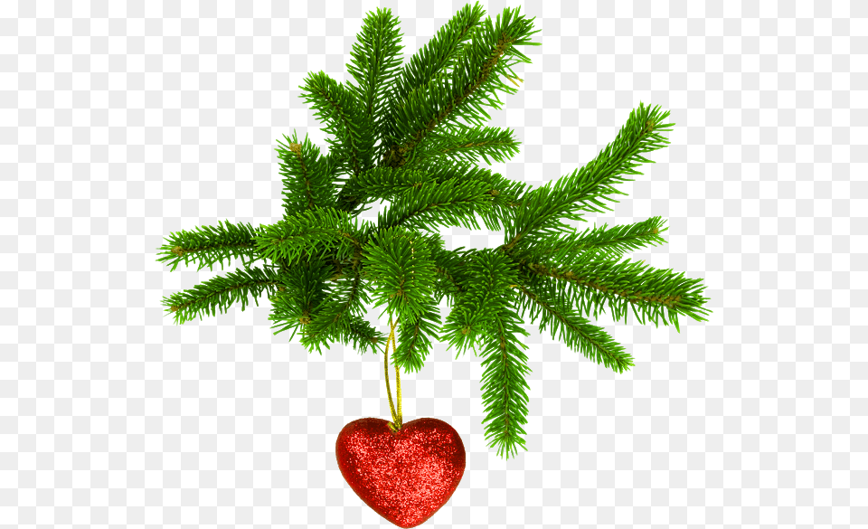 Adornos De Corazon Para Navidad Christmas Tree Leaves, Plant, Conifer, Leaf Png