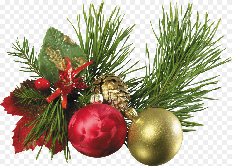 Adornos Luces Y Campanas De Navidad New Year, Conifer, Plant, Tree, Accessories Png Image