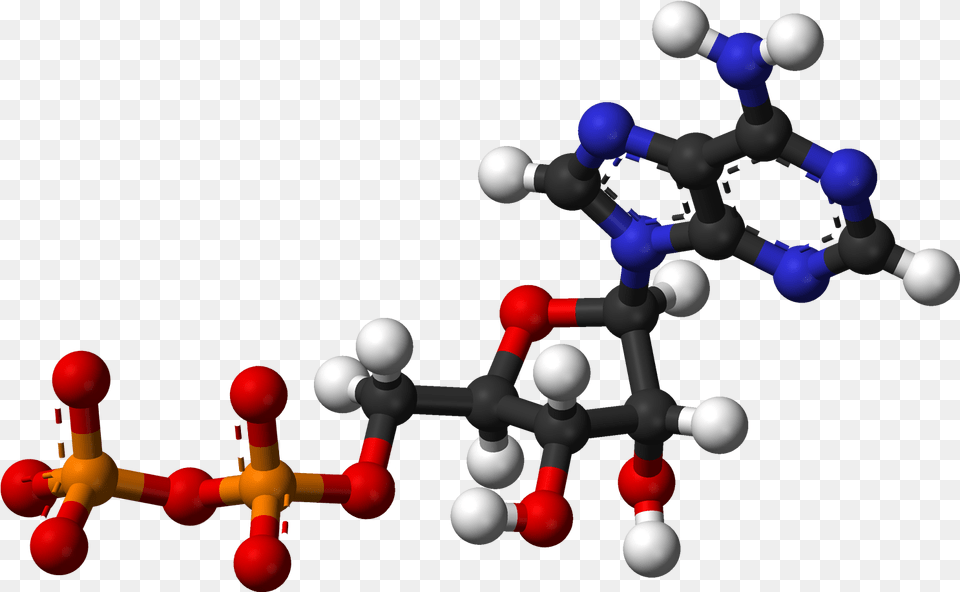 Adp Ballandstick Ball And Stick Model Of Nucleic Acid, Chess, Game, Sphere, Accessories Free Png