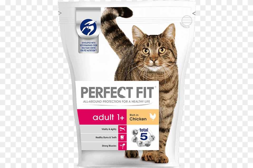 Adult 1 Perfect Fit Cat Food, Advertisement, Poster, Animal, Mammal Free Transparent Png