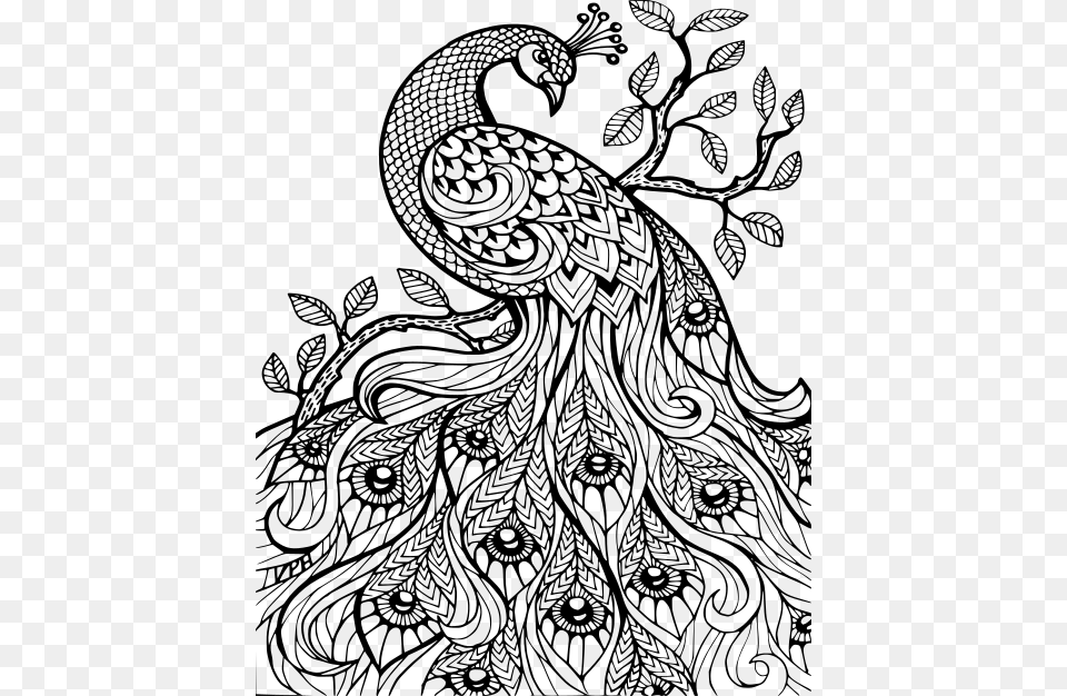 Adult Coloring Sheets Peacock, Gray Free Png Download