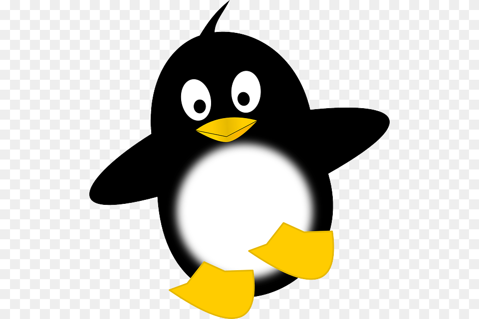 Advanced Format Sector Size Flashdba, Animal, Bird, Penguin, Bear Free Png Download