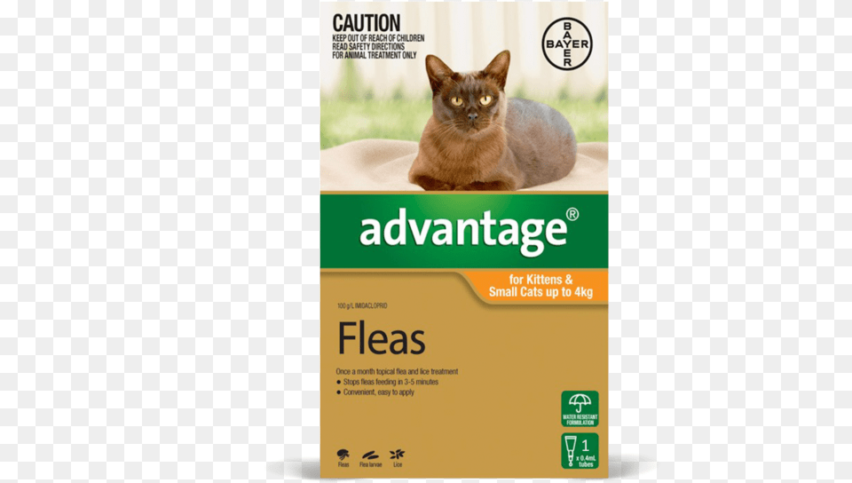 Advantage For Kittens Small Cats Advantage Flea Treatment For Small Cats Ingredients, Animal, Cat, Mammal, Pet Png