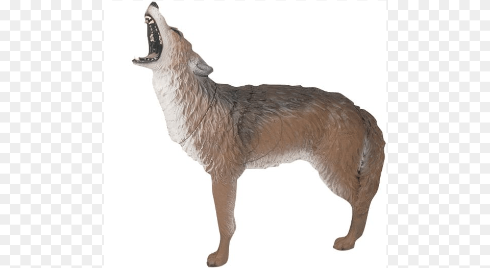 Advantages Of A 3d Archery Target Howling Coyote 3d Archery Target, Animal, Mammal, Kangaroo Free Transparent Png