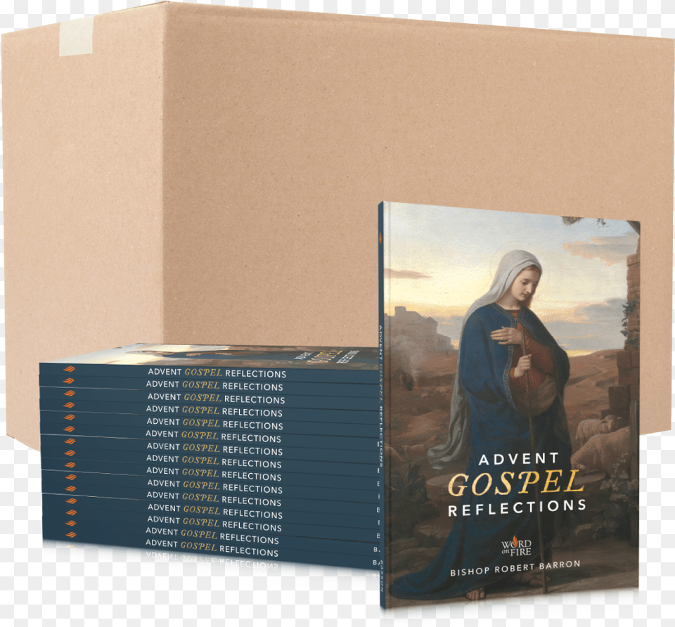 Advent Gospel Reflections Bishop Barron, Book, Publication, Adult, Person Free Transparent Png