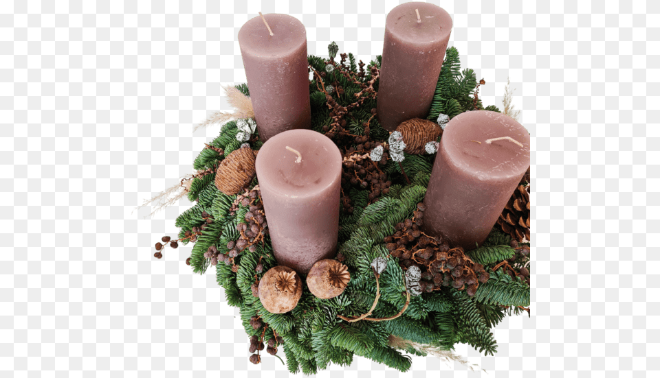 Advent Wreath No14 Dolls Flowers Advent, Candle, Fungus, Plant, Animal Png Image