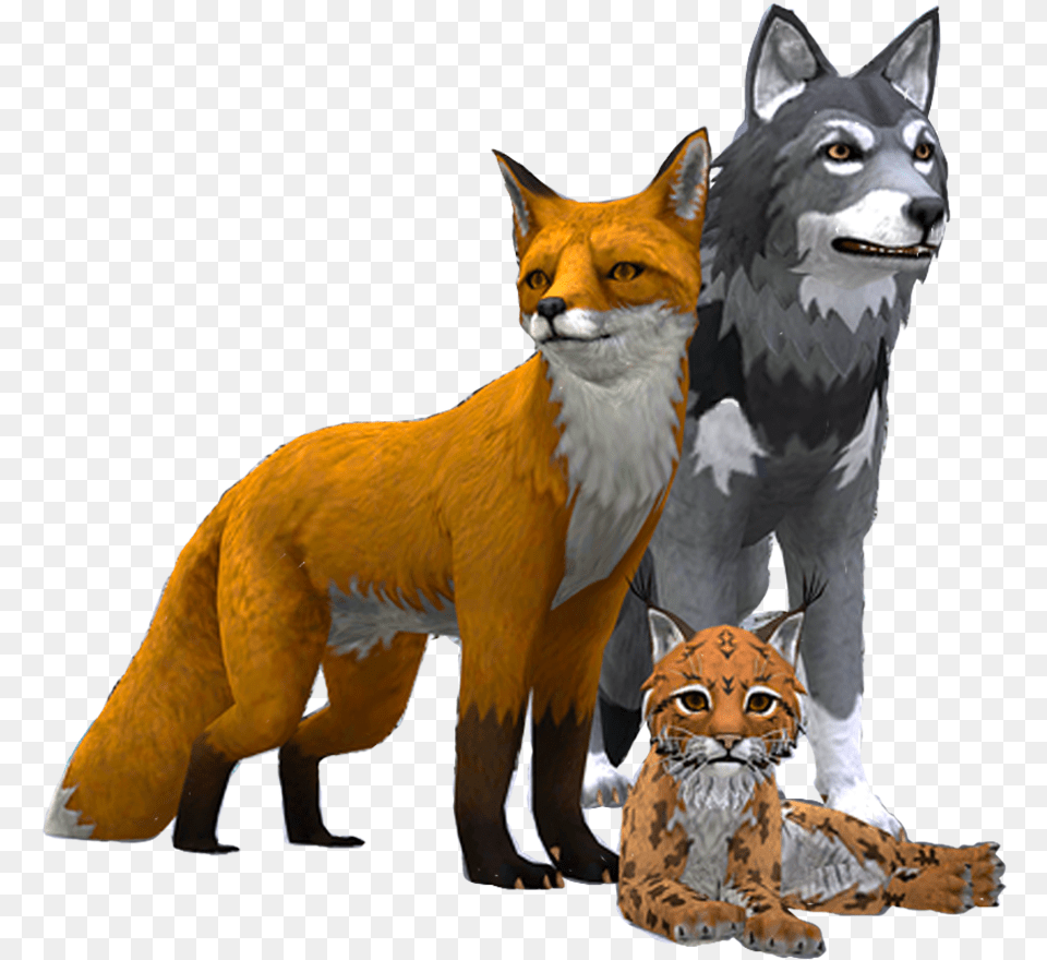 Adventure As A Wolf Fox Wildcraft Animal Sim Online 3d, Mammal, Wildlife, Cat, Pet Png