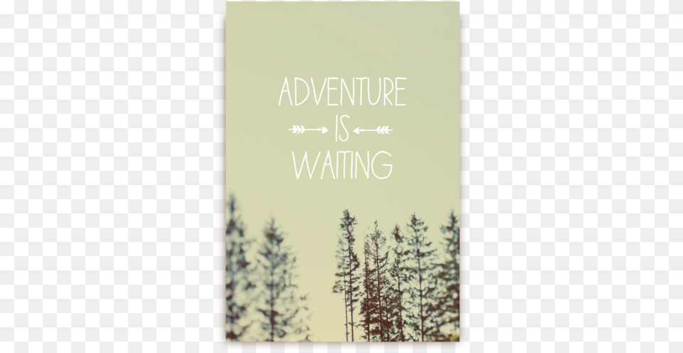 Adventure Is Waiting, Fir, Tree, Plant, Conifer Free Transparent Png