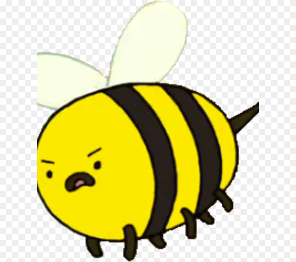 Adventure Time Transparent Bee, Animal, Insect, Invertebrate, Wasp Free Png