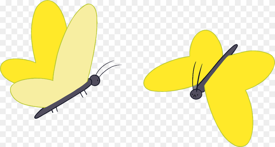 Adventure Time With Finn And Jake Wiki Cartoon Butterfly Adventure Time, Animal, Appliance, Ceiling Fan, Device Png