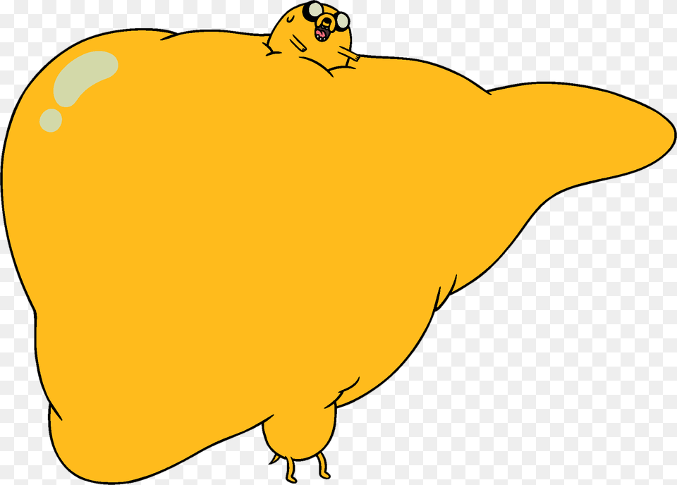 Adventure Time With Finn And Jake Wiki Jake The Dog Stretching, Clothing, Hat, Animal, Fish Free Transparent Png