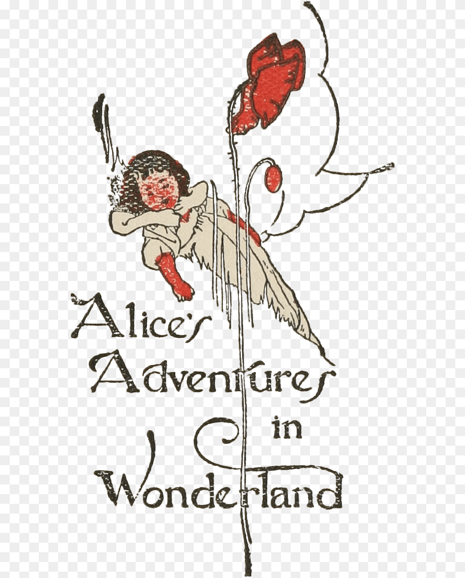 Adventures In Wonderland Photograph, Face, Head, Person, Adult Free Png