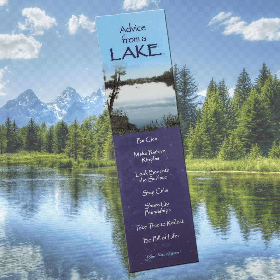 Advice From A Lake Bookmark Stay Smart Answer Key 188 Advanced Sentence Diagramming, Outdoors, Plant, Landscape, Scenery Free Png Download