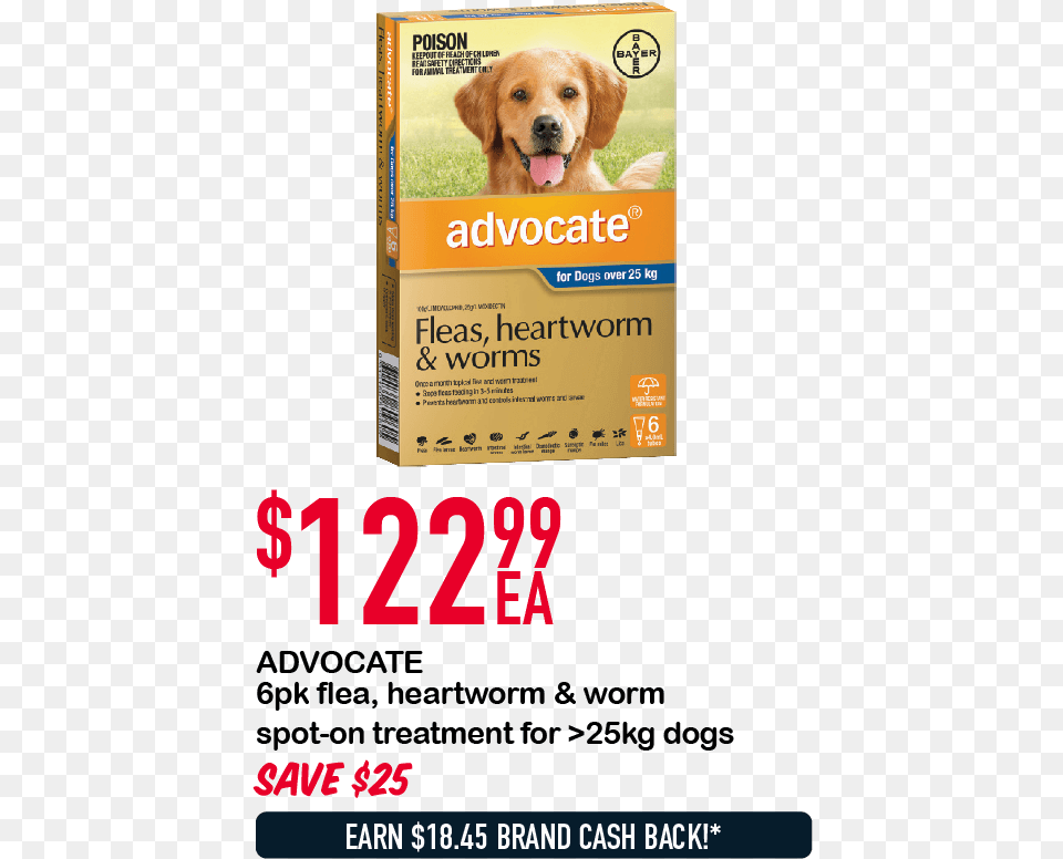 Advocate 6 Doses For Dogs Over, Advertisement, Poster, Animal, Canine Free Png