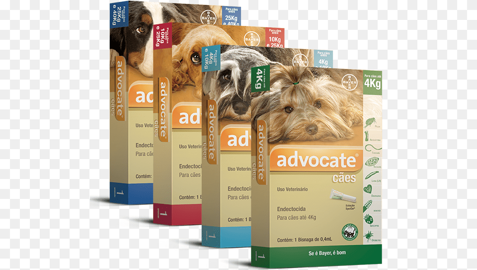 Advocate Bayer Dogs Advocate 21 Pip Ec 1 Ml, Advertisement, Poster, Pet, Mammal Png Image