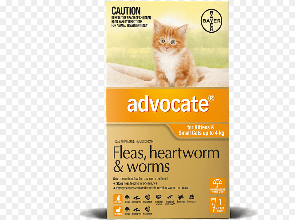 Advocate Cat Flea Treatment, Advertisement, Poster, Animal, Kitten Png Image