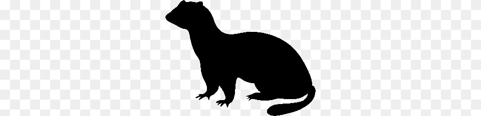 Advocate For Ferrets, Silhouette, Animal, Mammal, Rat Png