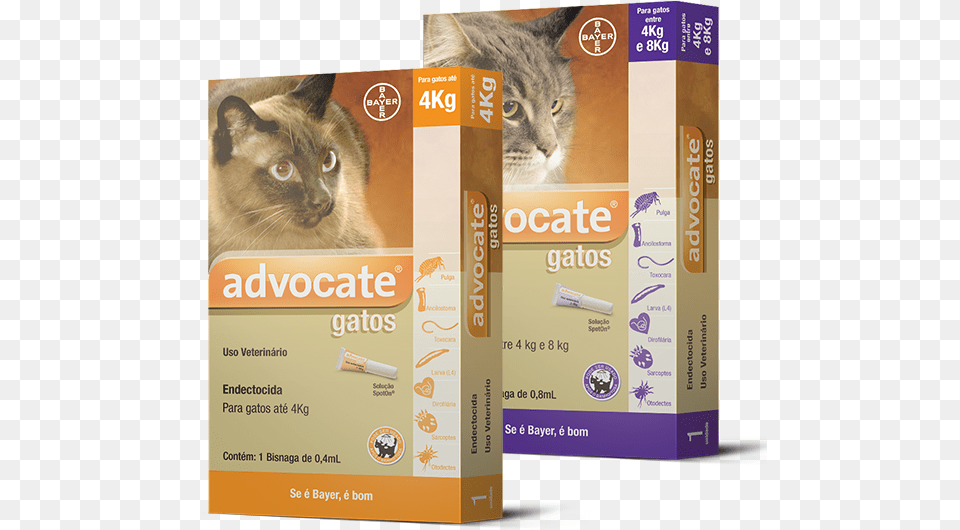 Advocate Gatos Mata Pulga De Gato, Animal, Cat, Mammal, Pet Free Png Download