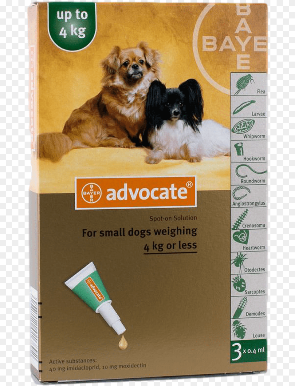 Advocate Spot On For Dogs, Animal, Canine, Dog, Mammal Free Png