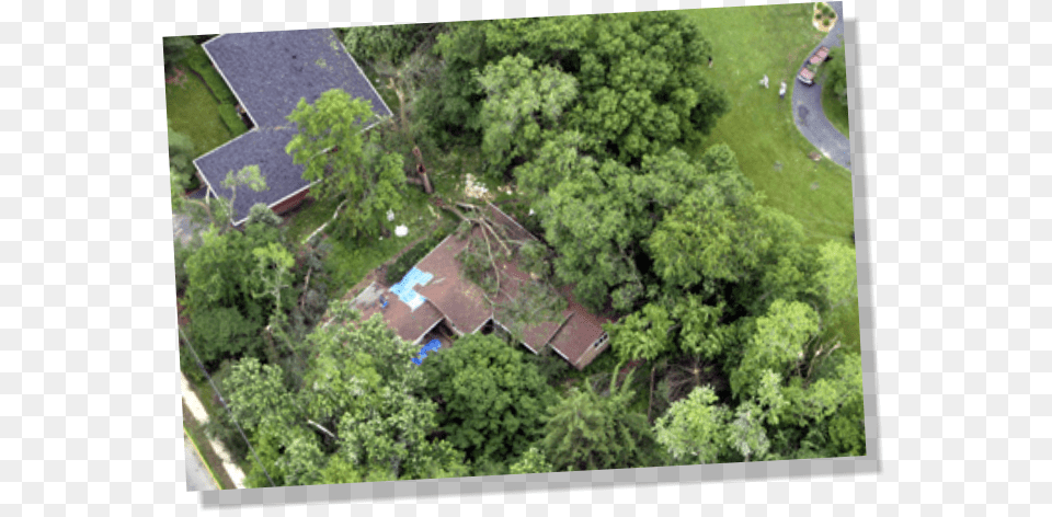 Aerial Photography, Woodland, Vegetation, Tree, Plant Free Transparent Png
