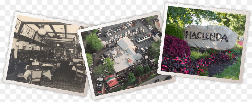 Aerial Photography, Art, Collage, Garden, Nature Png
