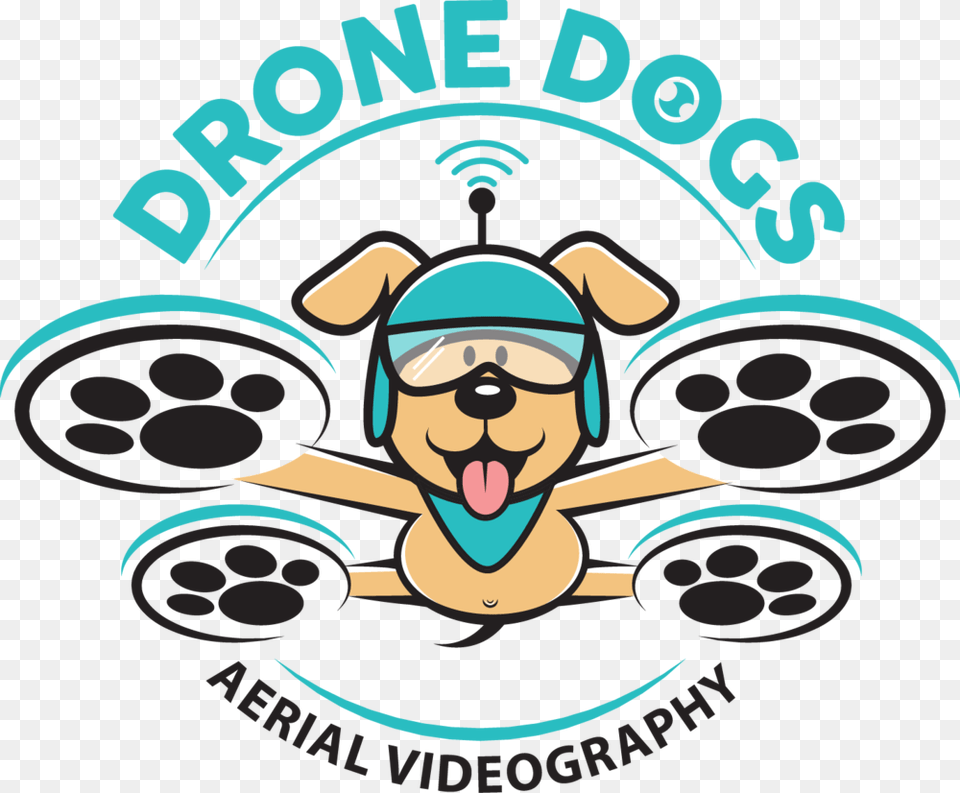 Aerial Photography Florida Keys Drone Dogs Media Aerial, Leisure Activities, Person, Sport, Swimming Free Png