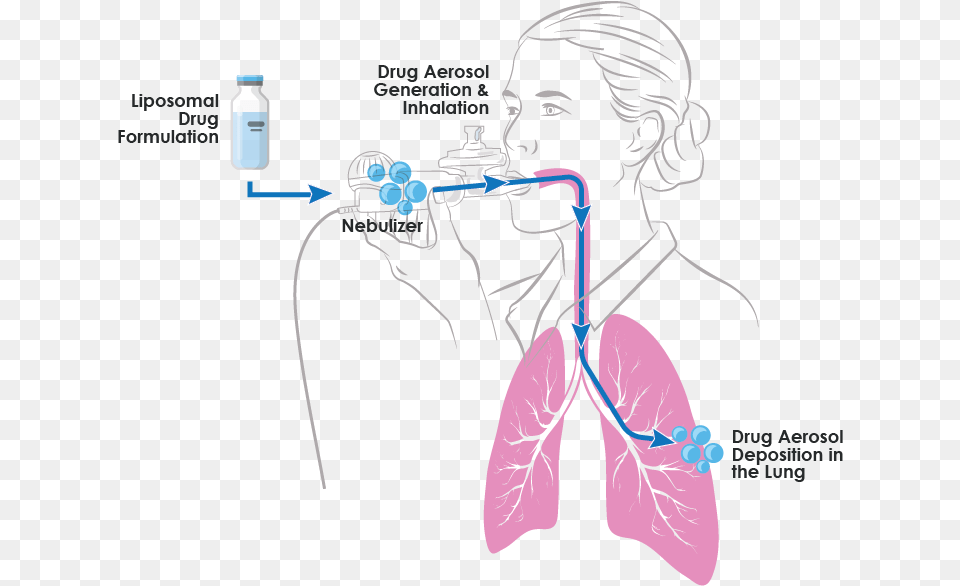 Aerosol Drug Therapy, Adult, Female, Person, Woman Png Image