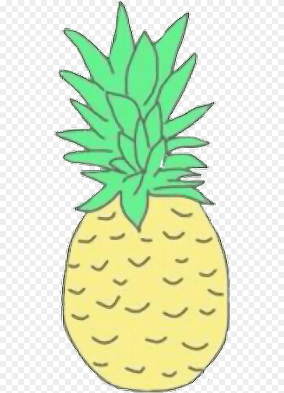 Aesthetic, Food, Fruit, Pineapple, Plant Png