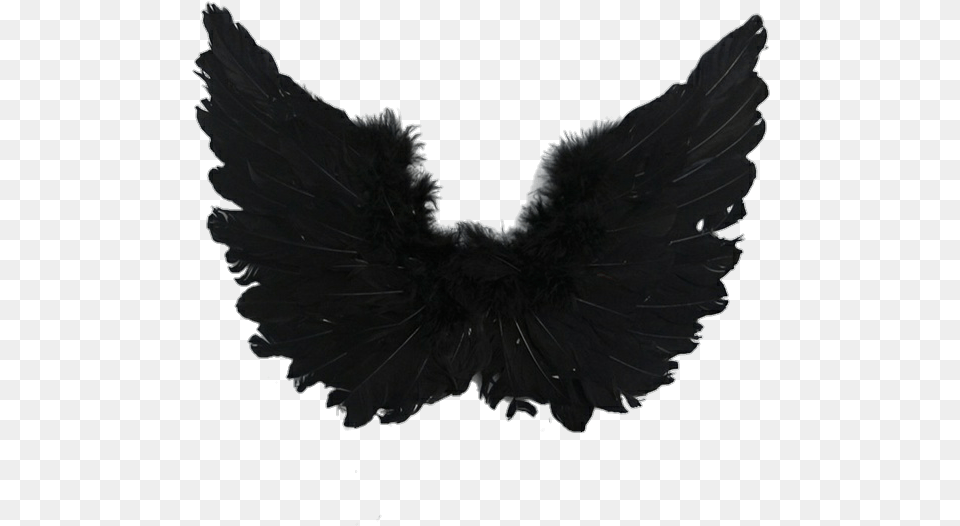 Aesthetic Angel And Angel Wings, Animal, Bird, Blackbird, Vulture Free Png Download