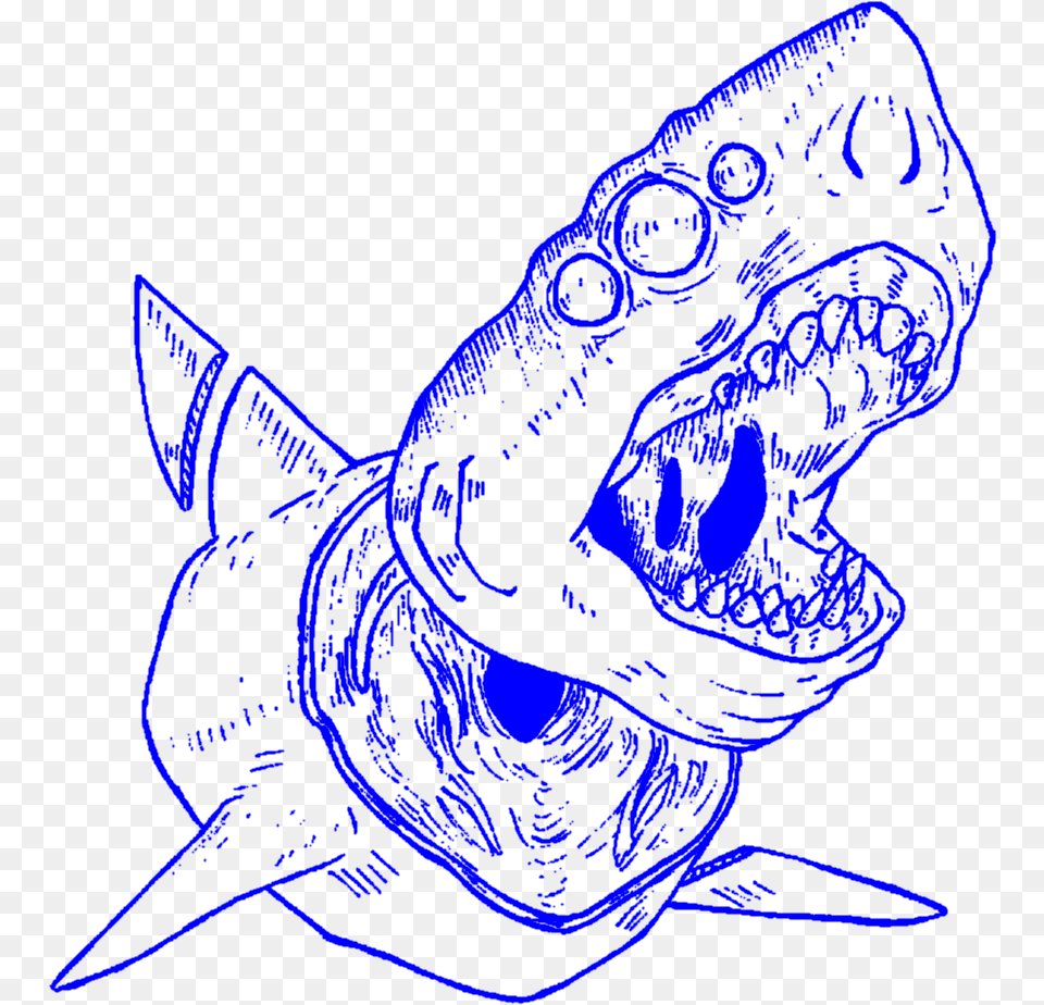 Aesthetic Art Lineart Outline Shark Sharks Decapitated Outlines Aesthetic, Animal, Sea Life, Person, Fish Free Png Download