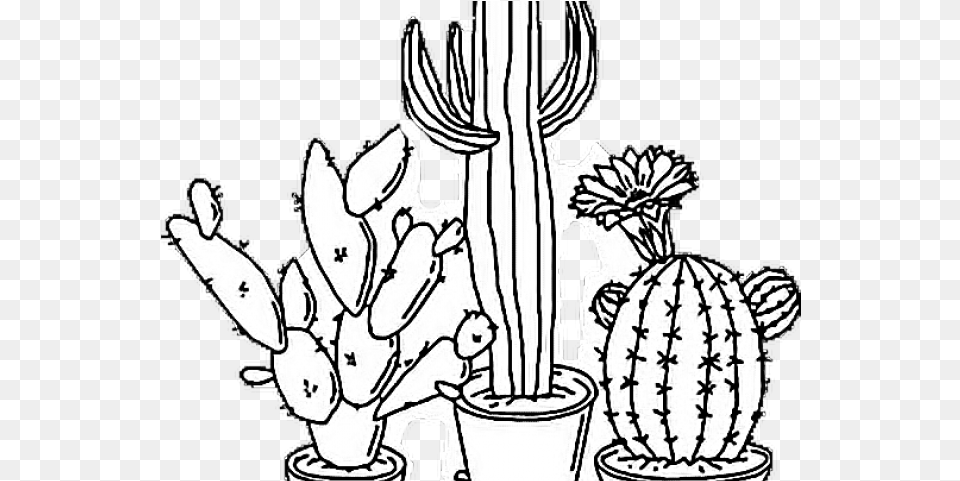 Aesthetic Black And White Black And White Cactus Drawing, Plant, Baby, Person Free Png