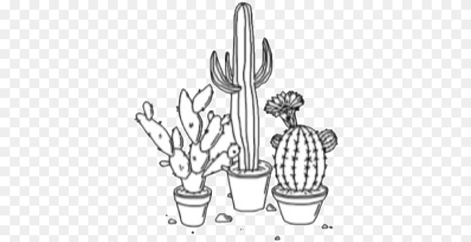 Aesthetic Black And White Outline, Cactus, Plant, Chandelier, Lamp Png Image
