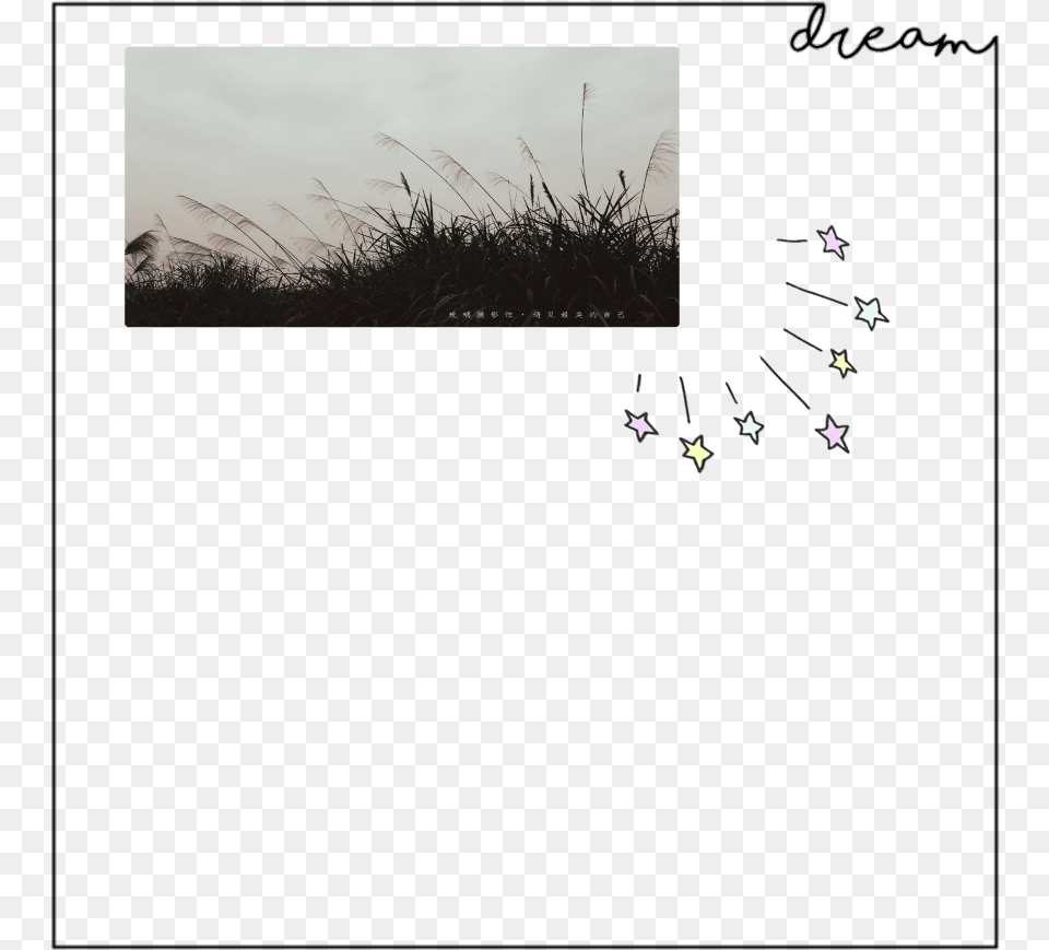 Aesthetic Black Darktheme Border Grass, Animal, Bird, Flying, Art Free Transparent Png