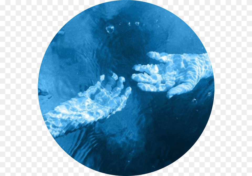 Aesthetic Blue Circle Pictures Dark Blue Aesthetic Water, Photography, Animal, Sea Life, Beluga Whale Free Png Download