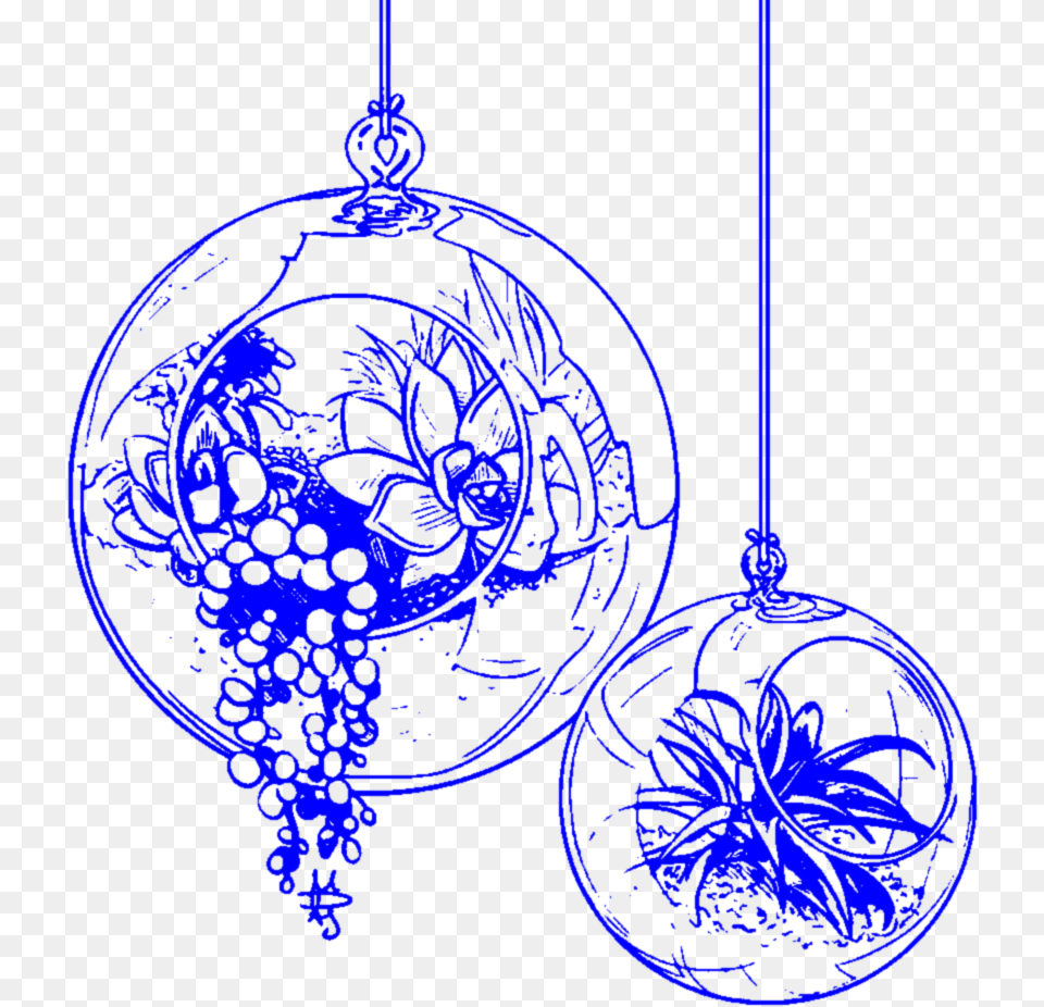 Aesthetic Blue Handdrawn Terrarium Succulent Succulent Circle, Accessories, Chandelier, Lamp Free Transparent Png