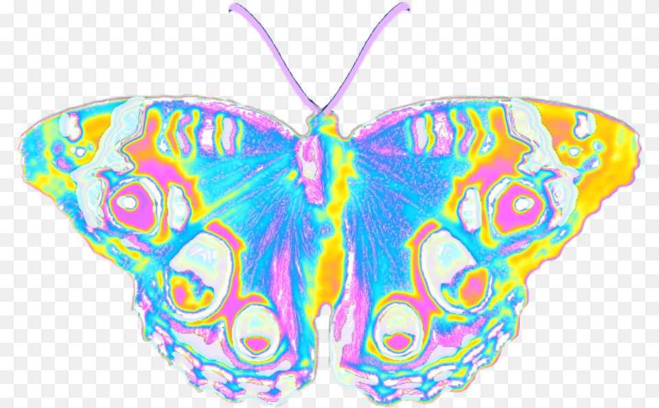 Aesthetic Butterfly Emoji Wallpaper Holographic Butterflies Aesthetic, Accessories, Animal, Insect, Invertebrate Png Image