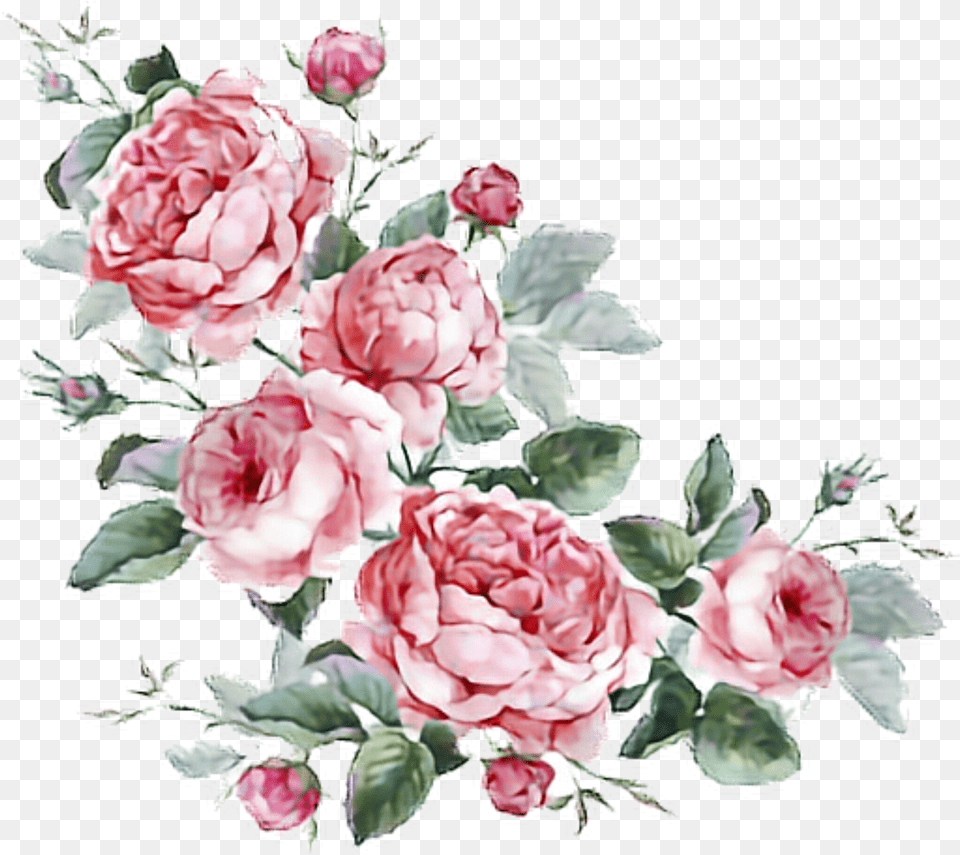 Aesthetic Flower Png