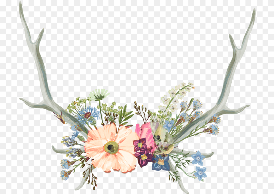 Aesthetic Flower Crown Flower Crown With Antlers, Art, Floral Design, Flower Arrangement, Flower Bouquet Png Image