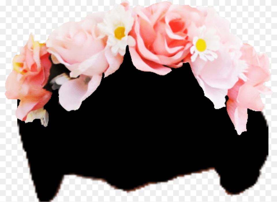 Aesthetic Flower Crown Transparent, Accessories, Flower Arrangement, Plant, Petal Png Image