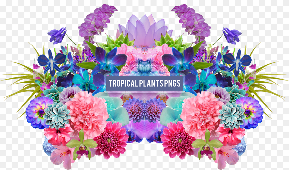 Aesthetic Flower Tropical Flowers Pack Png Image